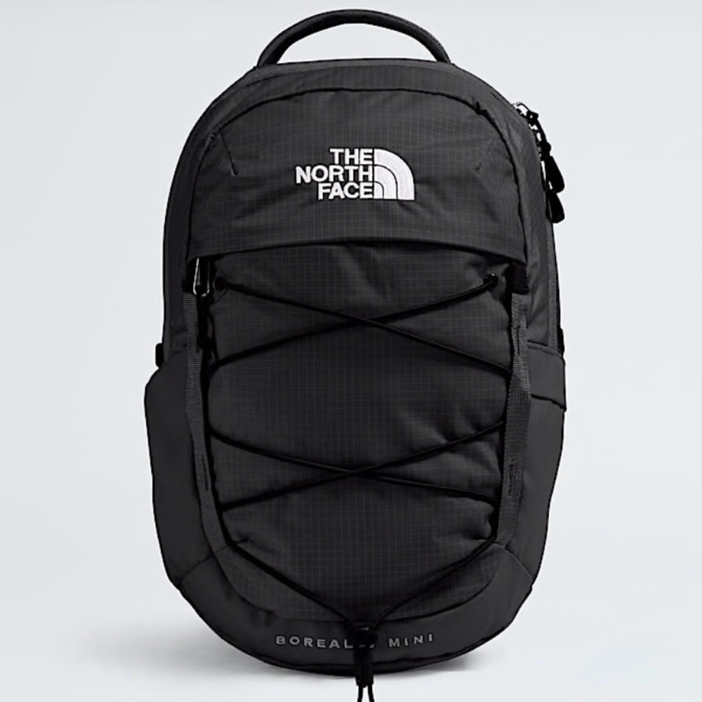 The North Face Borealis Mini Backpack